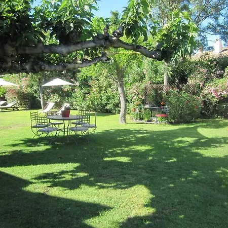 Oasis Avec Piscine En Plein Coeur De Saint-tropez. 圣特罗佩